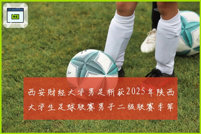 西安财经大学男足斩获2025年陕西大学生足球联赛男子二级联赛季军